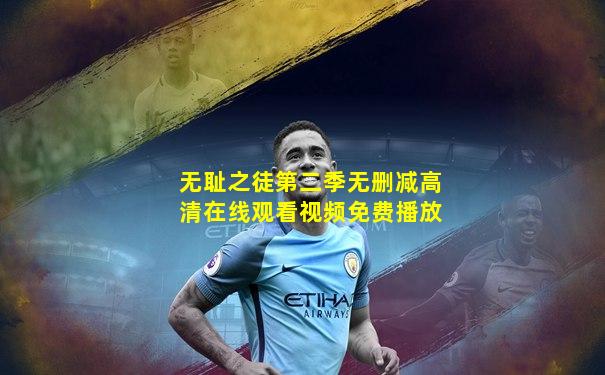无耻之徒第二季无删减高清在线观看视频免费播放