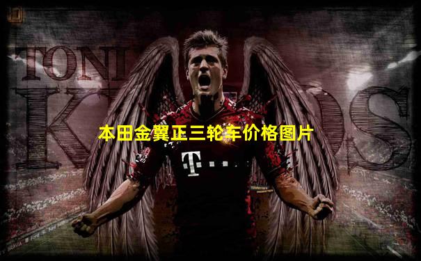 本田金翼正三轮车价格图片