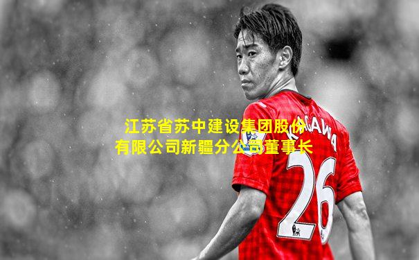 江苏省苏中建设集团股份有限公司新疆分公司董事长