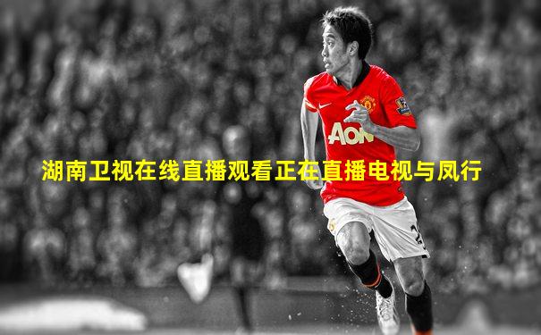 湖南卫视在线直播观看正在直播电视与凤行