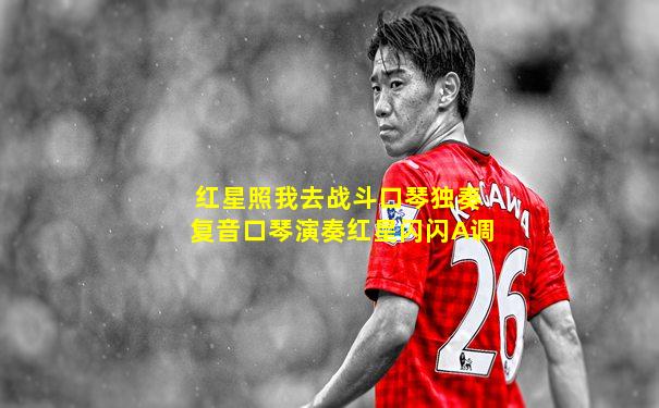 红星照我去战斗口琴独奏复音口琴演奏红星闪闪A调