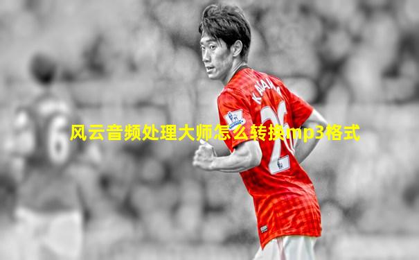 风云音频处理大师怎么转换mp3格式