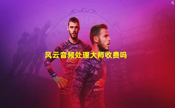 风云音频处理大师收费吗